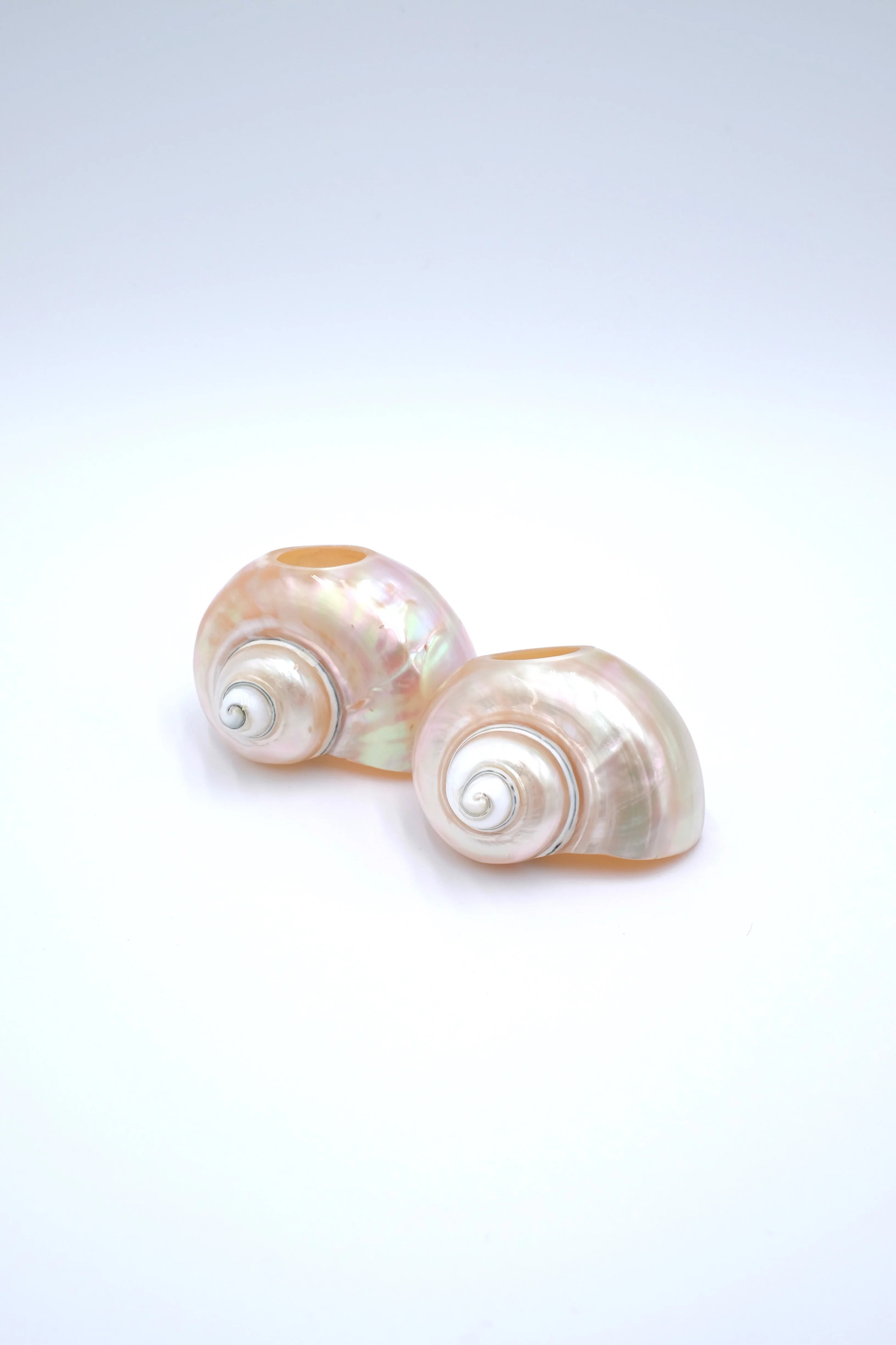 Seashell Napkin Ring